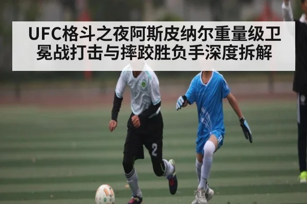 UFC格斗之夜阿斯皮纳尔重量级卫冕战打击与摔跤胜负手深度拆解
