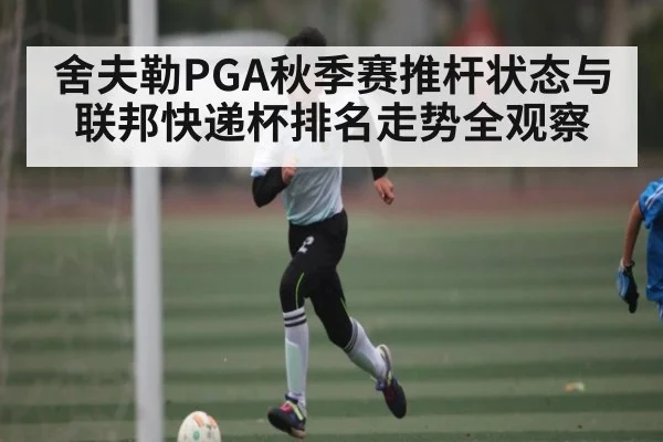 舍夫勒PGA秋季赛推杆状态与联邦快递杯排名走势全观察